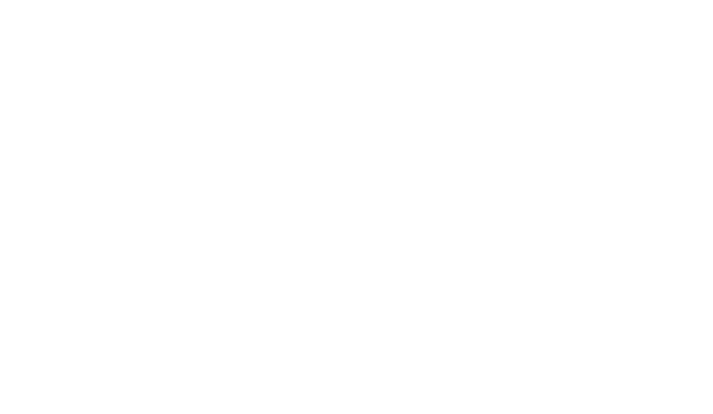 Castor Logo